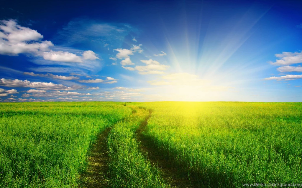 Landscapes Nature Fields Wallpapers (
