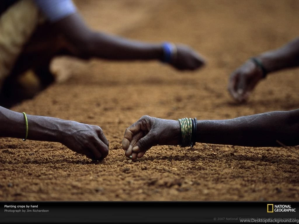 Planting Crops Picture, Farming Wallpaper, Download, Photos ...