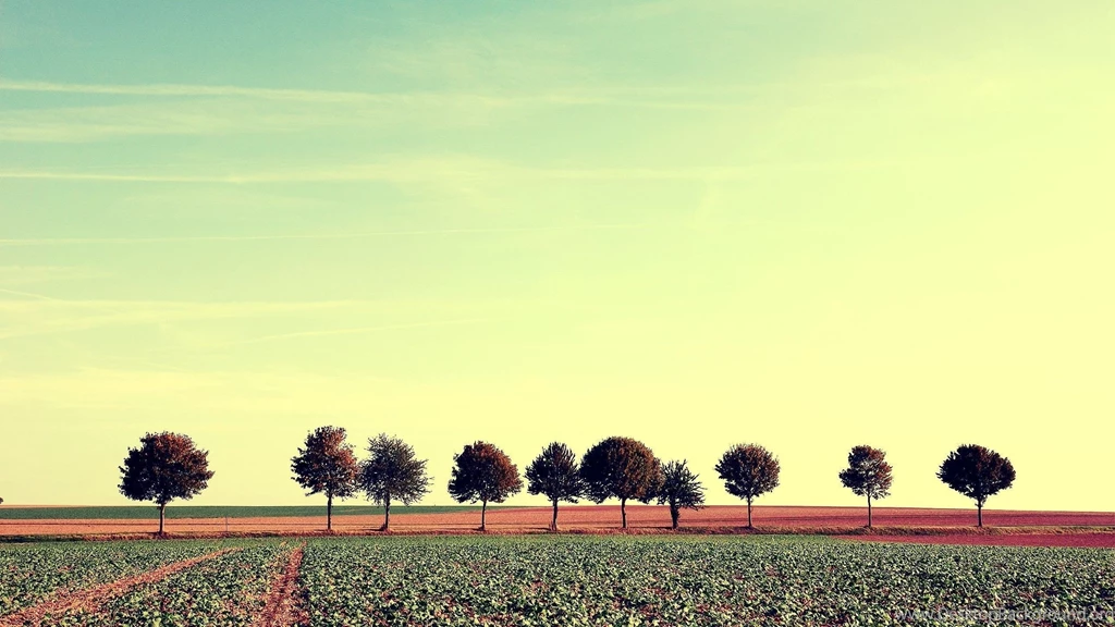 Agriculture Field Wallpapers