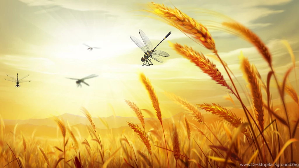Top Fall Harvest Backgrounds 1280x768 Images For Pinterest