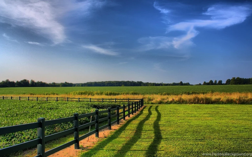 Fence Fields Greens Agriculture Hd Wallpapers