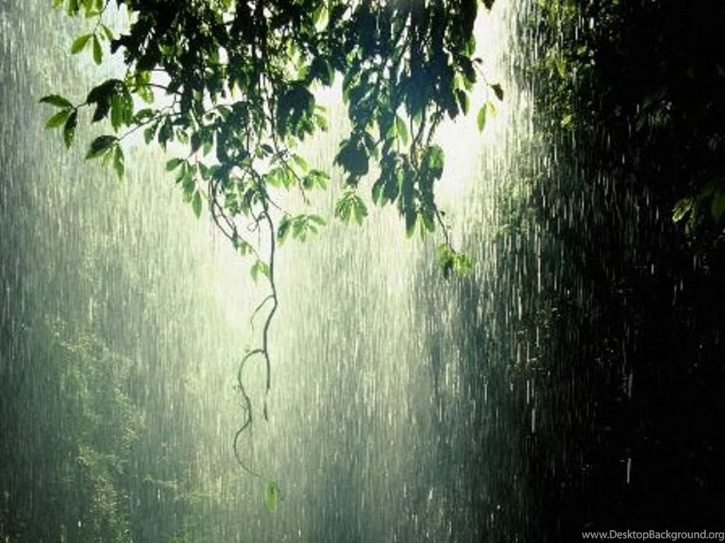 Rain Backgrounds Hd