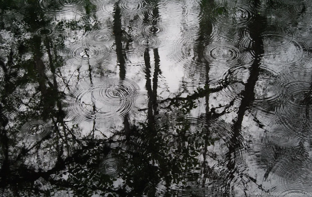 Puddles Of Rain Wallpaper Backgrounds