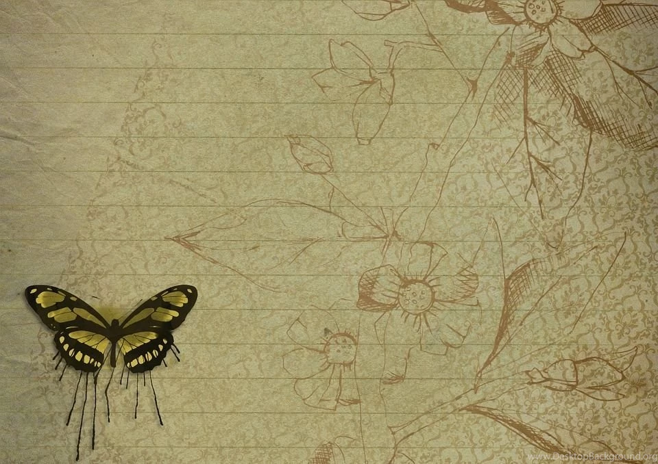 Butterfly, Backgrounds Free Images On Pixabay