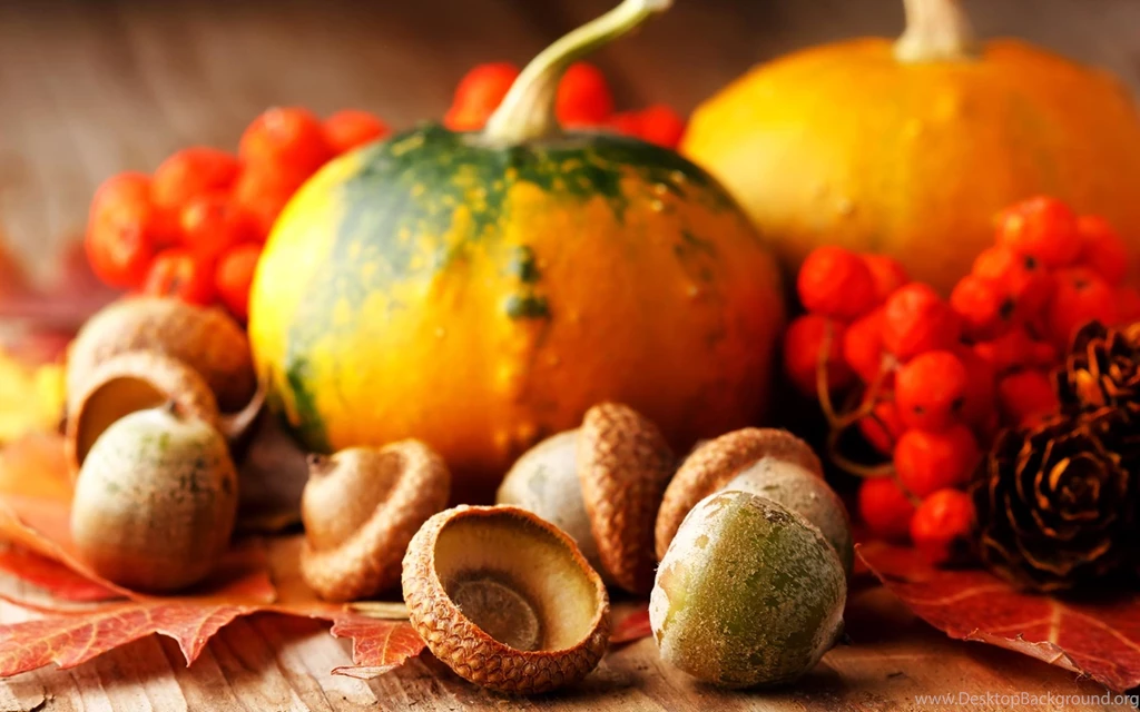 Happy Thanksgiving Wallpapers – Thanksgiving Turkey Theme