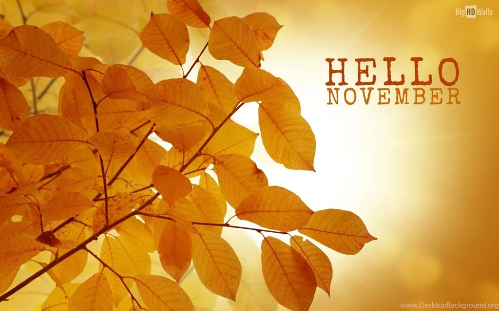 Hello November HD Wallpapers