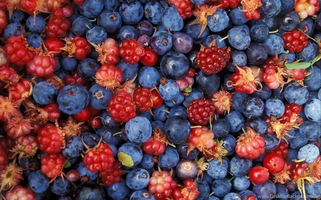 Berries Wallpapers