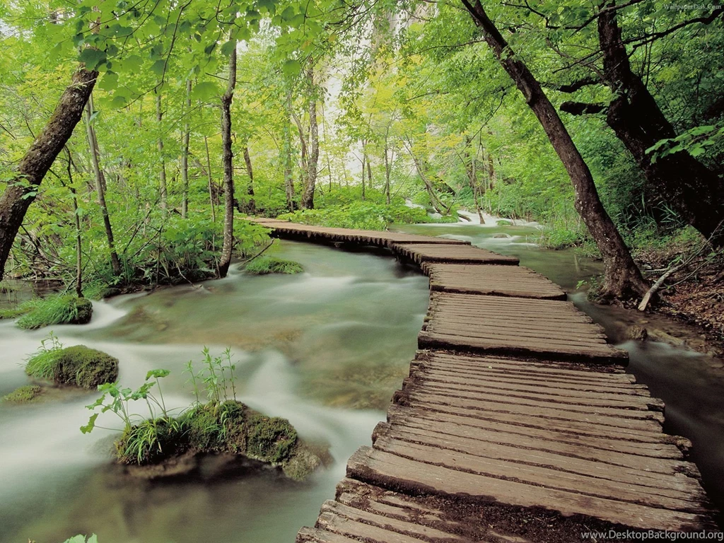 Natural Wallpapers