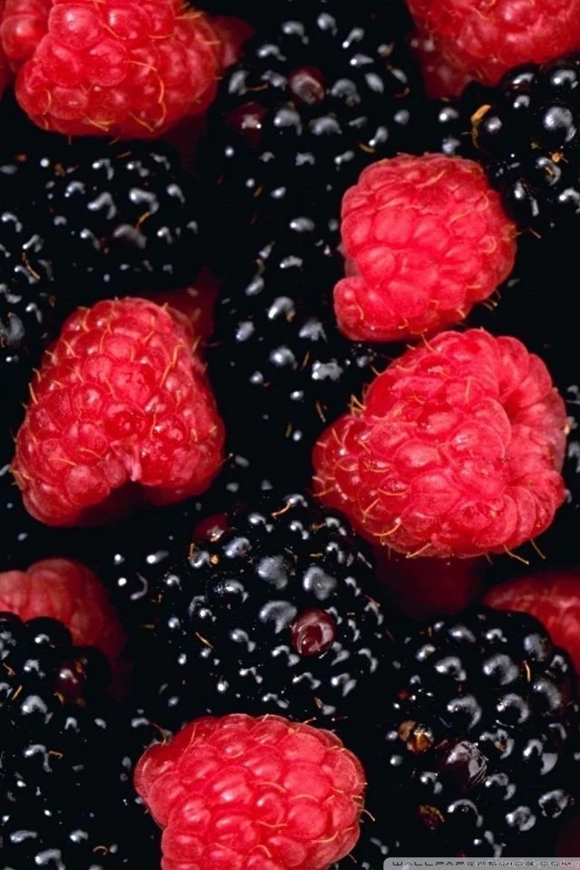 Berries HD Desktop Wallpapers : High Definition : Fullscreen ...