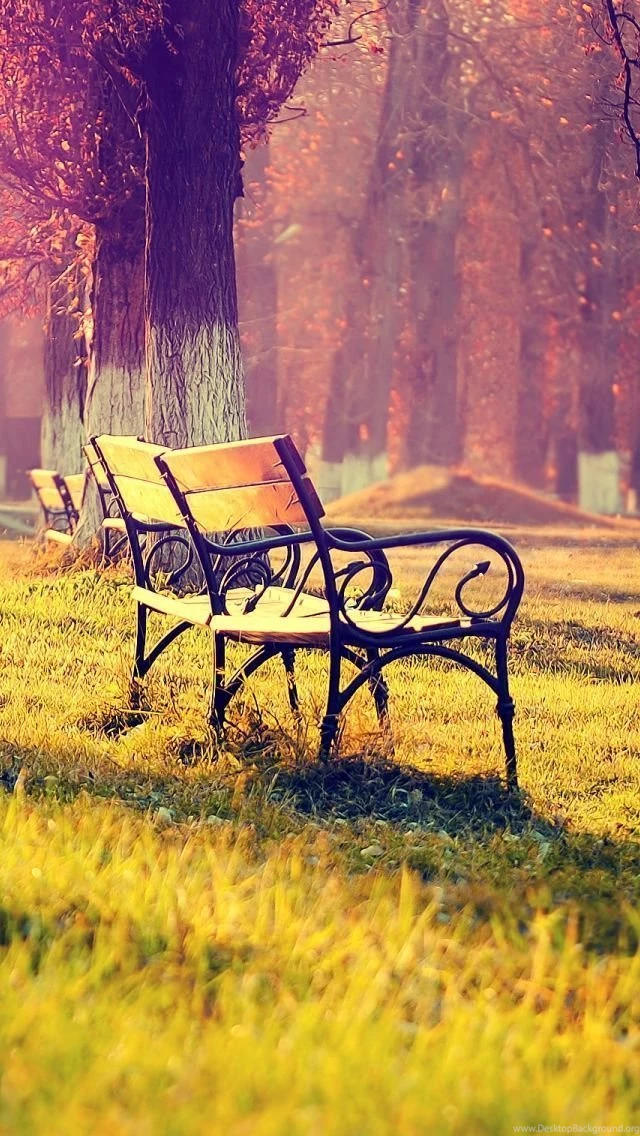 Awesome Autumn Wallpapers For Your iPhone HD The Nology