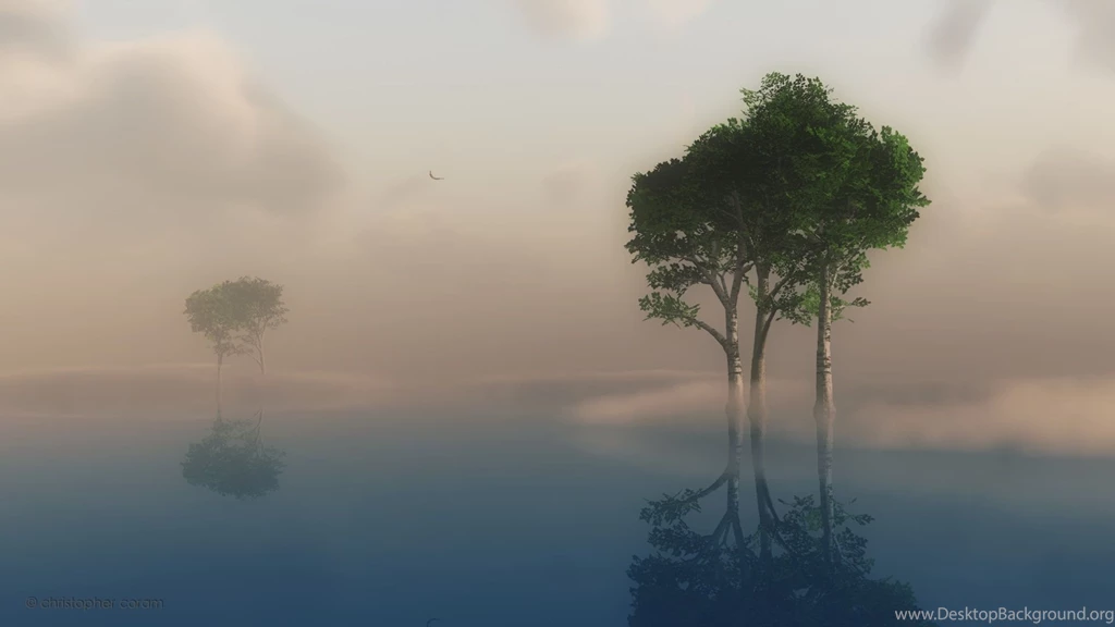 Fog HD Wallpapers HD Images New