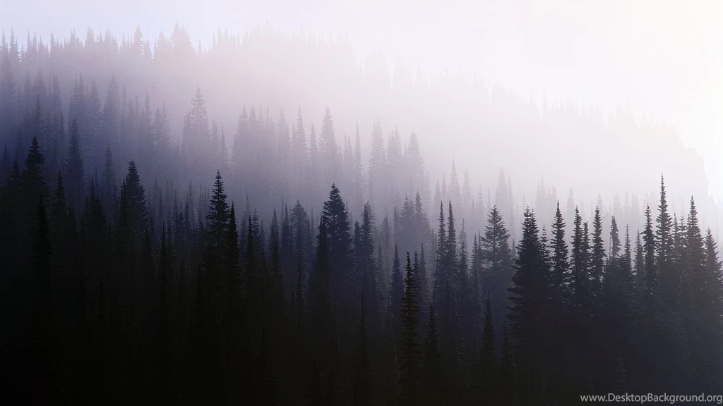 467 Fog HD Wallpapers