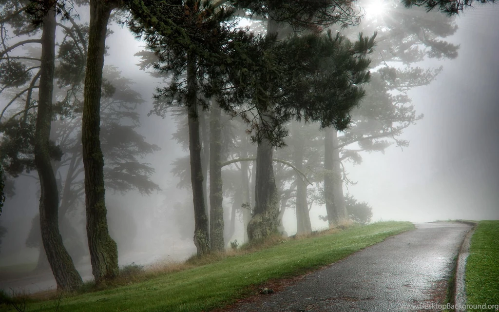 Fog HD Wallpapers , New Wallpapers, New Wallpapers