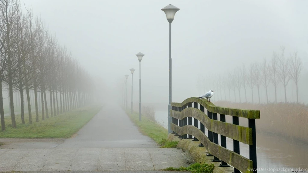 Fog Wallpapers HD