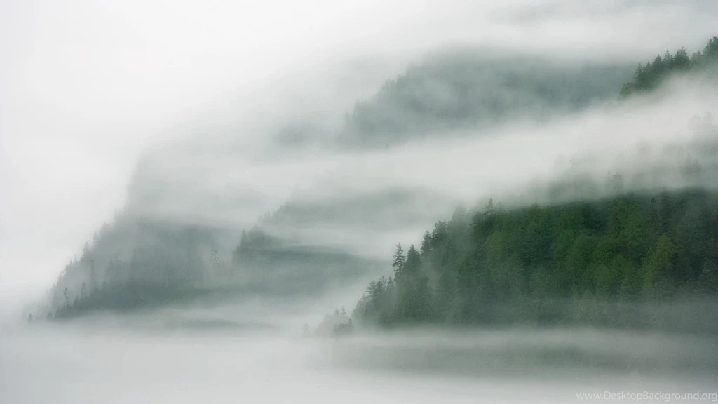 467 Fog HD Wallpapers