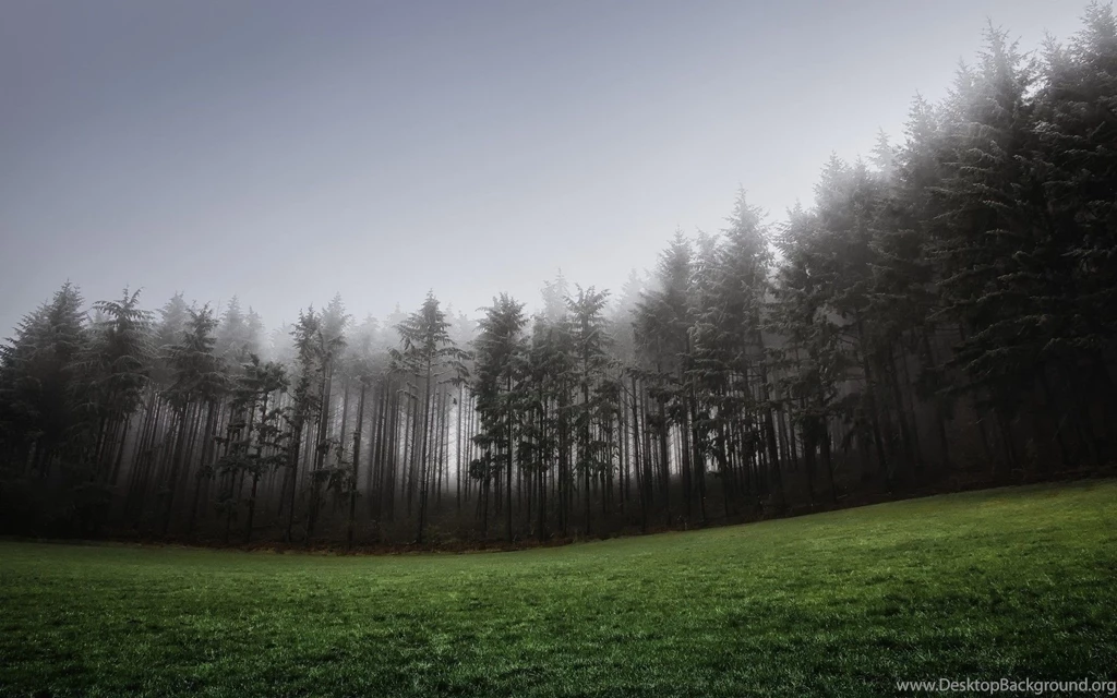 Fog Computer Wallpapers, Desktop Backgrounds