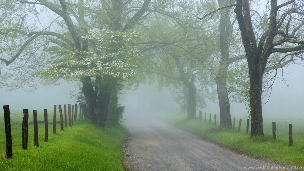467 Fog HD Wallpapers