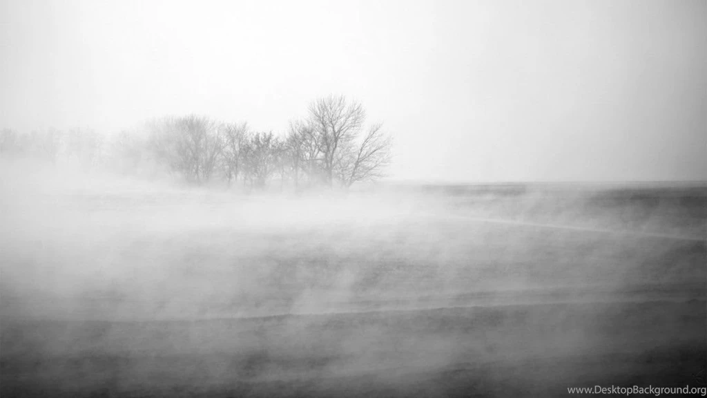 Winter Fog Wallpapers