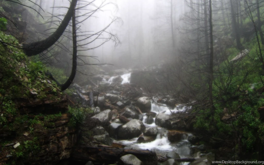 Fog