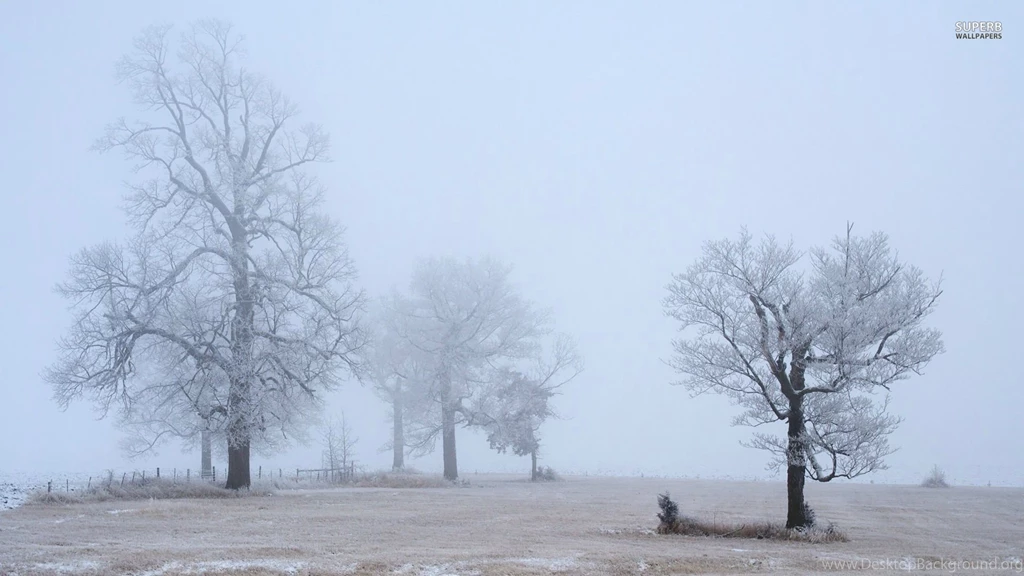 Swing Set On A Foggy Morning Wallpapers