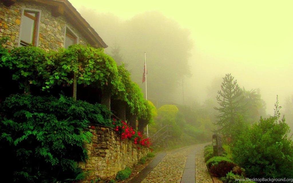 Morning Fog (id: 161909) – BUZZERG