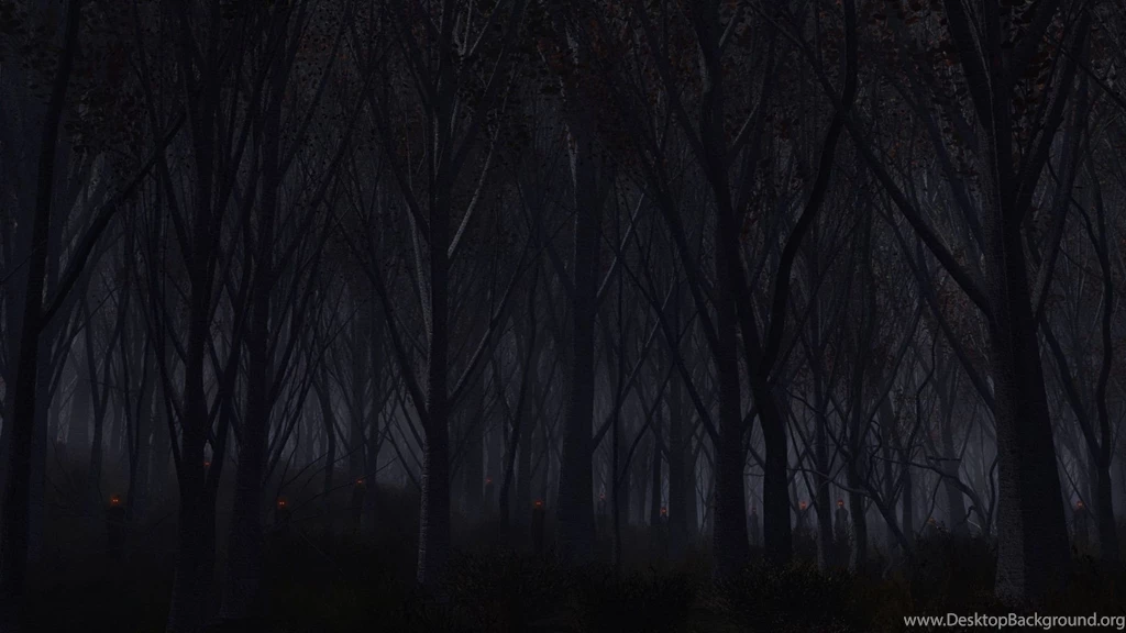 Download Wallpapers 1920x1080 Forest, Trees, Background, Dark Full ...