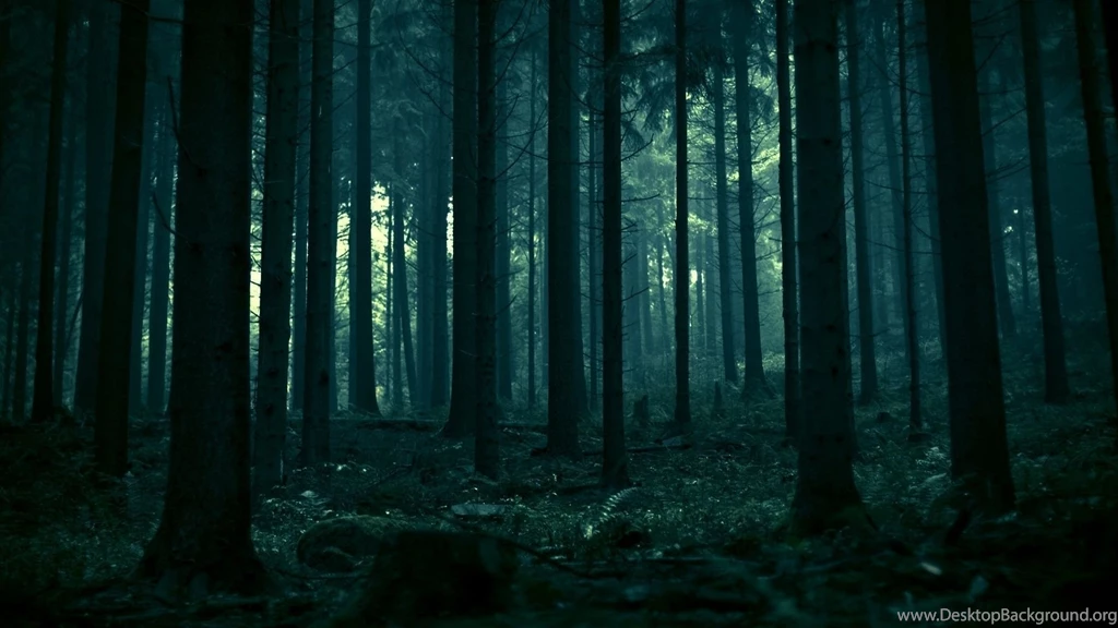 Dark Forest HD Wallpapers