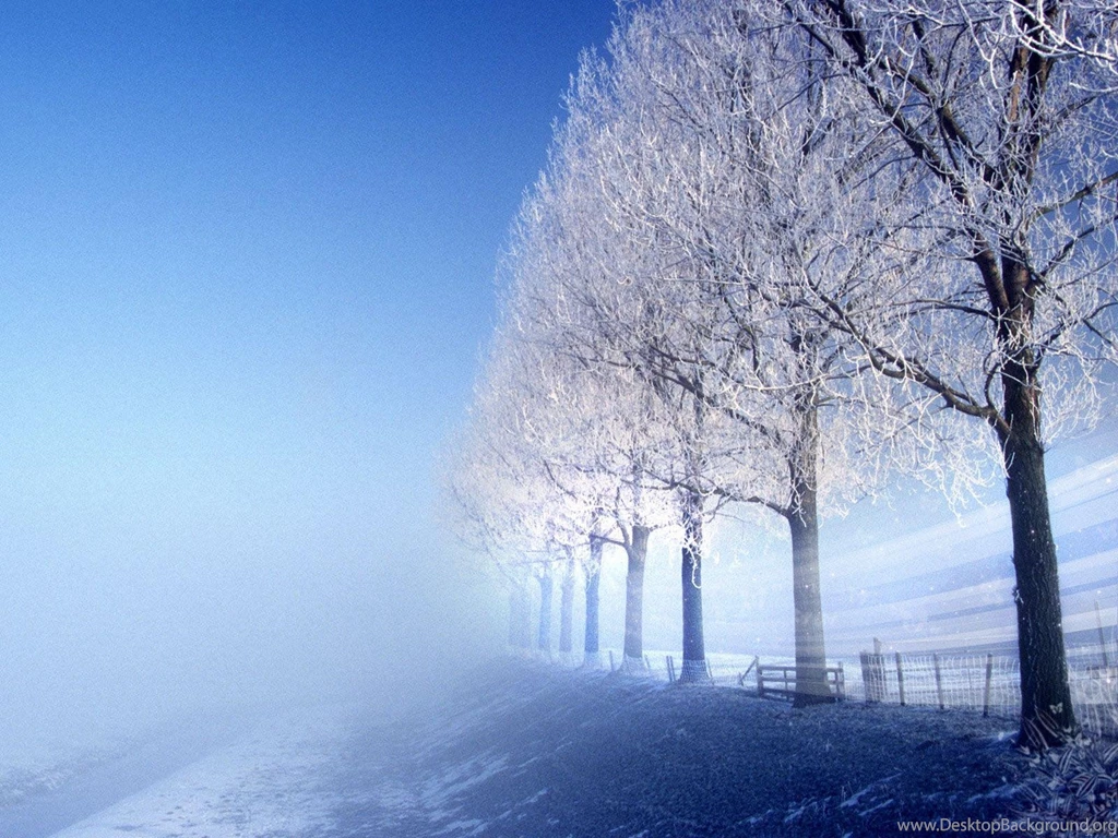 Landscape Astonishing Nature Quality Winter Backgrounds Picture ...