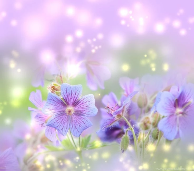 Free Spring Desktop Wallpapers (5) Thephotowallpapers.com ...