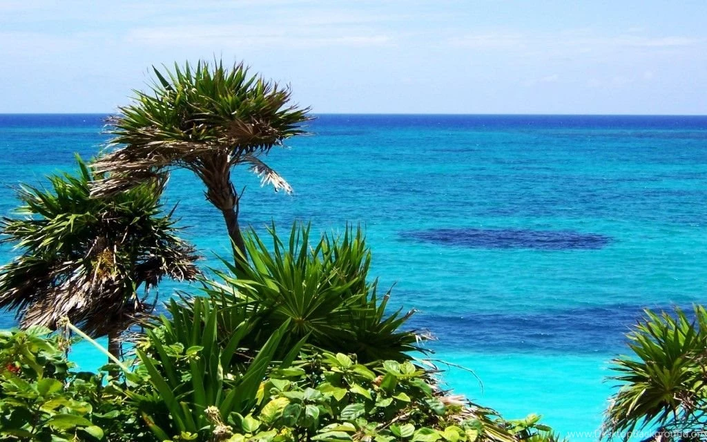 Desktop Backgrounds For Spring Coast