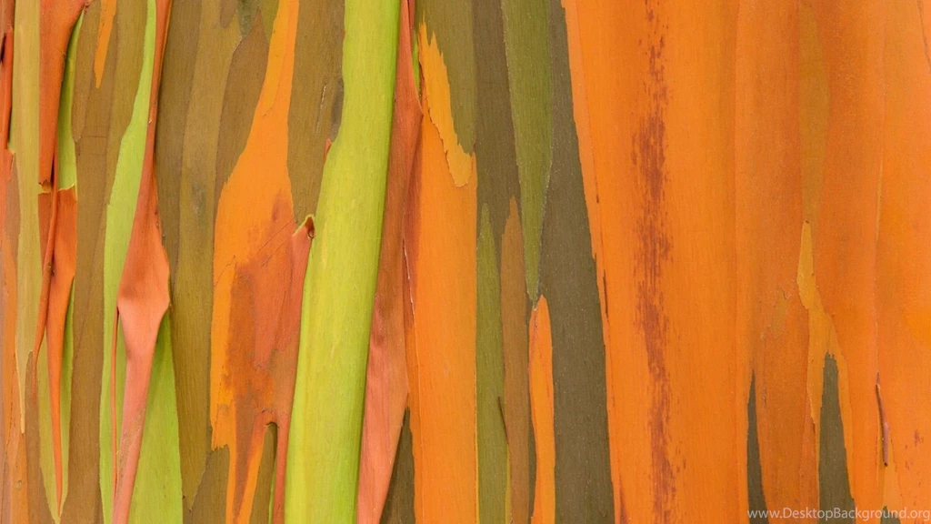 Tree Pattern 31763 Desktop Wallpapers System Wallpapers