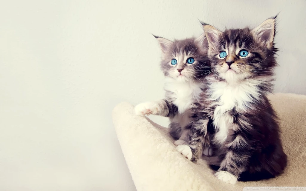 30 Cute Nature Wallpapers Pictures