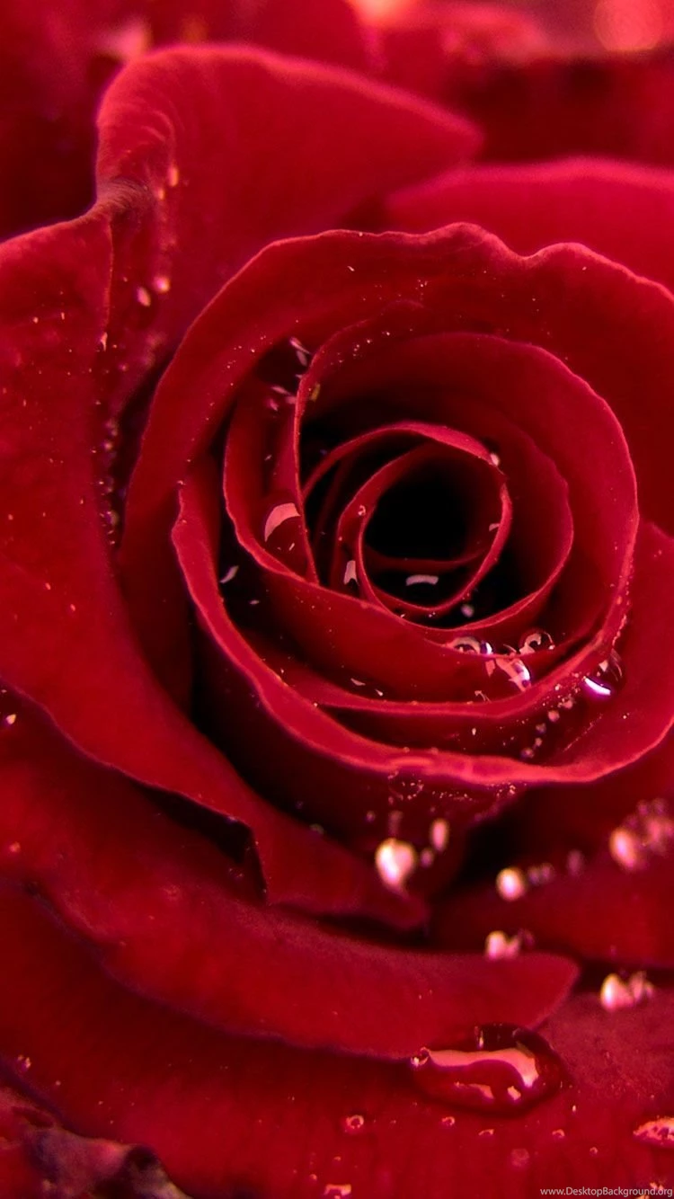 30+ Best Cool Retina iPhone 6 Wallpapers & Backgrounds In HD Quality
