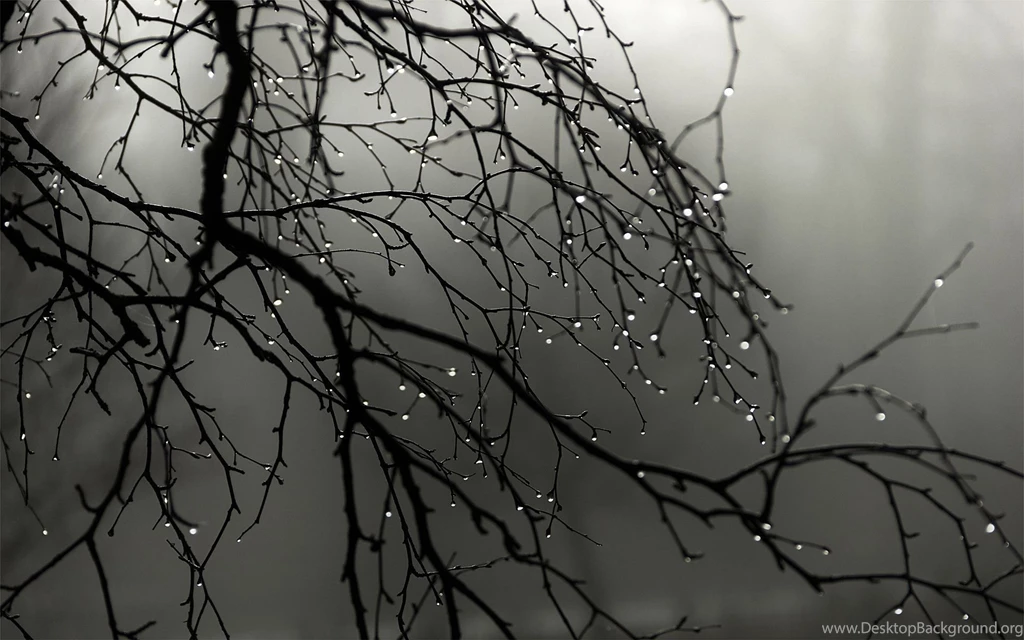 537 Water Drop HD Wallpapers