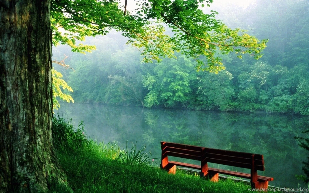 Full HD Nature Wallpapers
