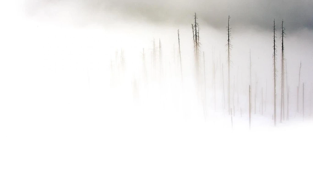 A Lot Of Fog Photoshop Artwork White Backgrounds Composition HD ...
