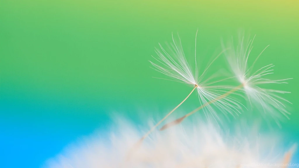 Download Wallpapers 1920x1080 Dandelion, Seeds, Feathers, Flight ...