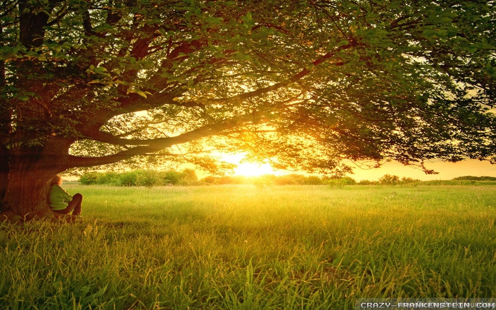Summer Day Wallpapers 2 Crazy Frankenstein