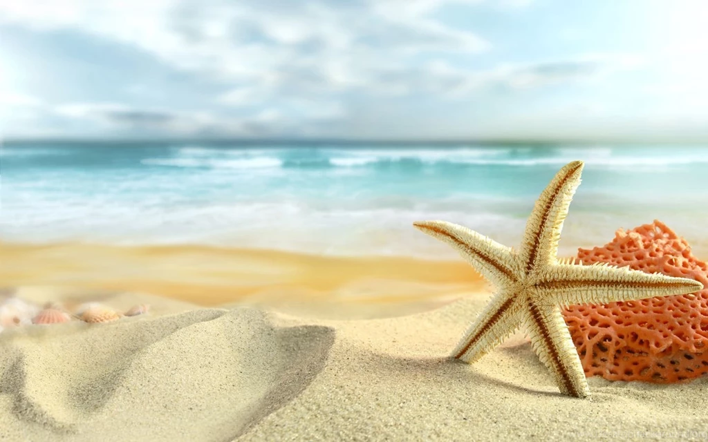 Summer Wallpapers Cool Pictures Hapehatelo.com