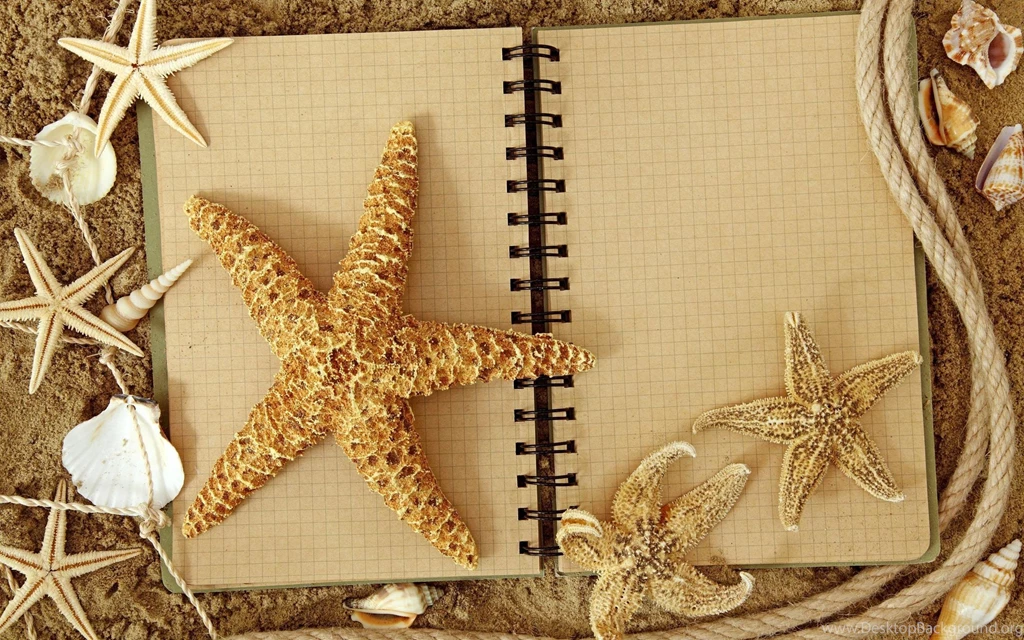 Starfish Notebook >> HD Wallpaper, Get It Now!