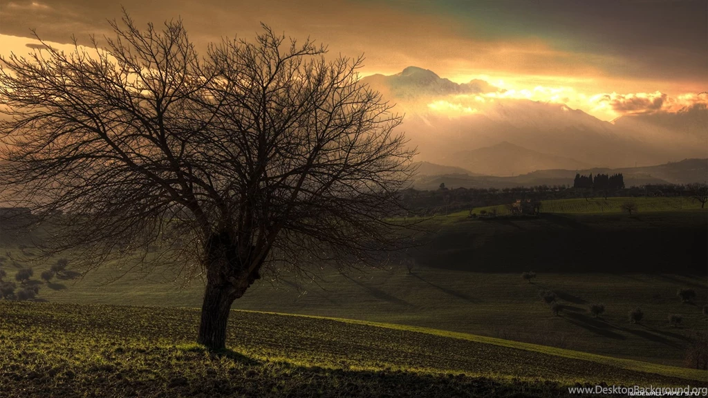 Nature Sunset 1920x1080 Wallpaper Backgrounds
