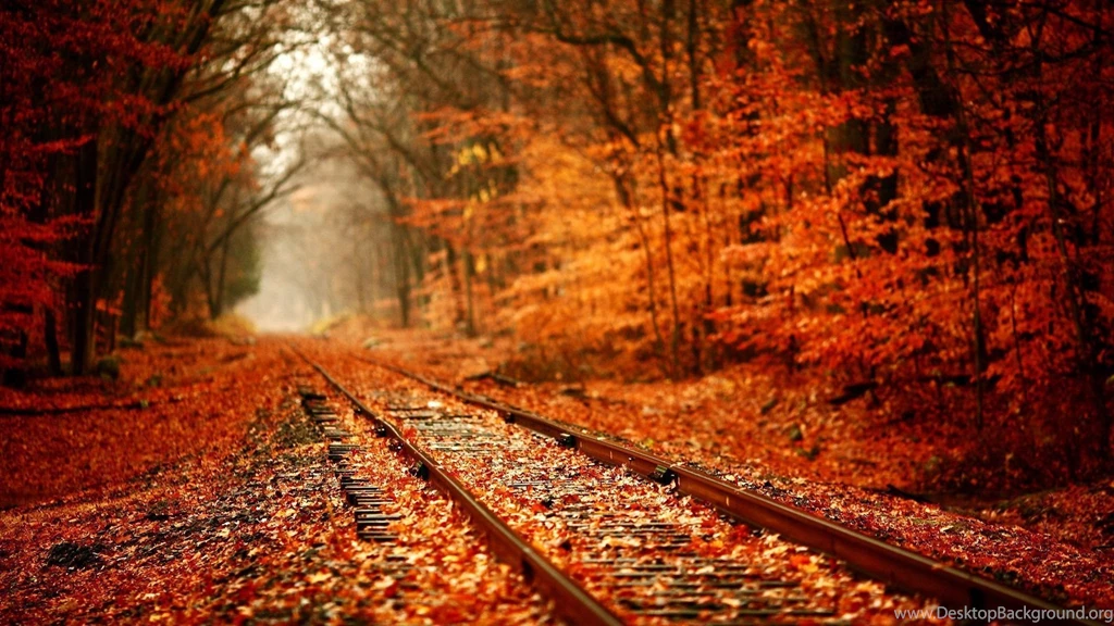 1920x1080 Railway Autumn Wallpapers