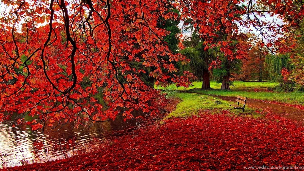 1920x1080 Park Autumn Wallpapers