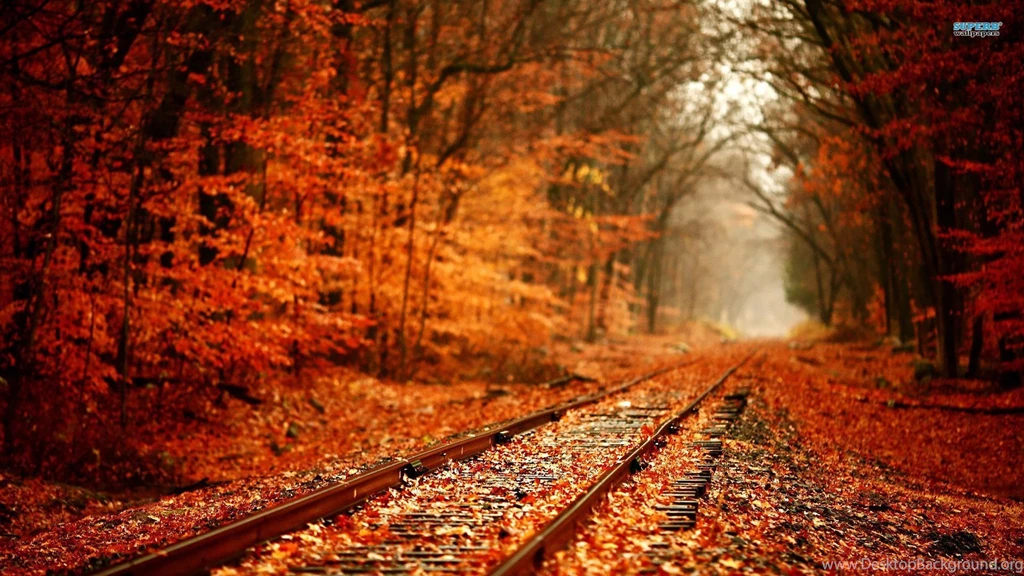 Railway In Autumn Wallpapers   Photography Wallpapers