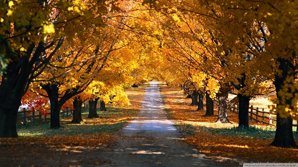 HD Quality Beautiful Autumn Widescreen Wallpapers HD 2 ...