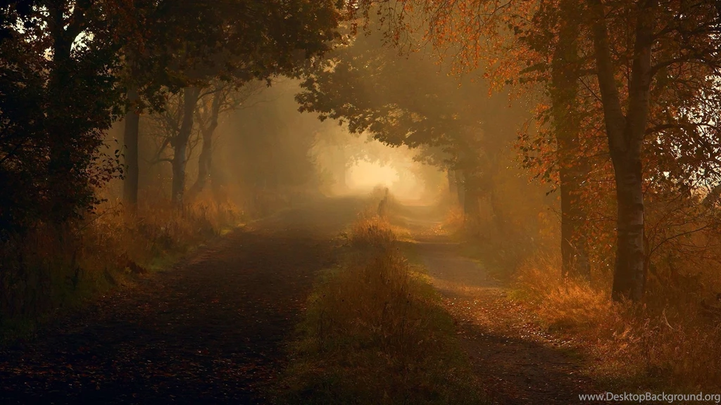 Download Autumn Wallpaper Images
