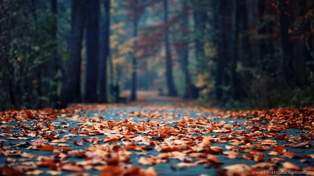 Autumn HD Wallpapers