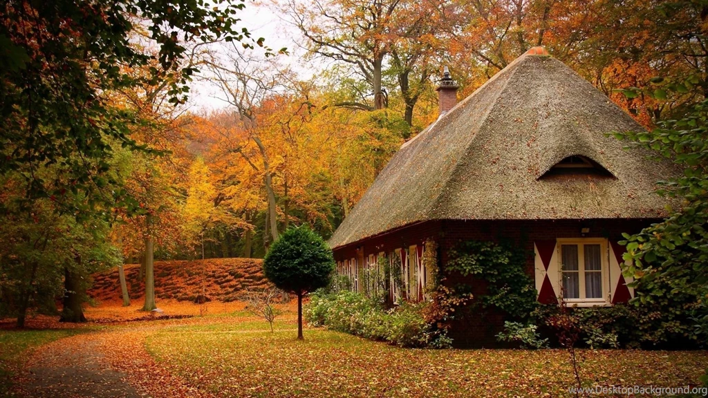 Download Wallpapers 1920x1080 Cabins, Forest, Autumn, House ...