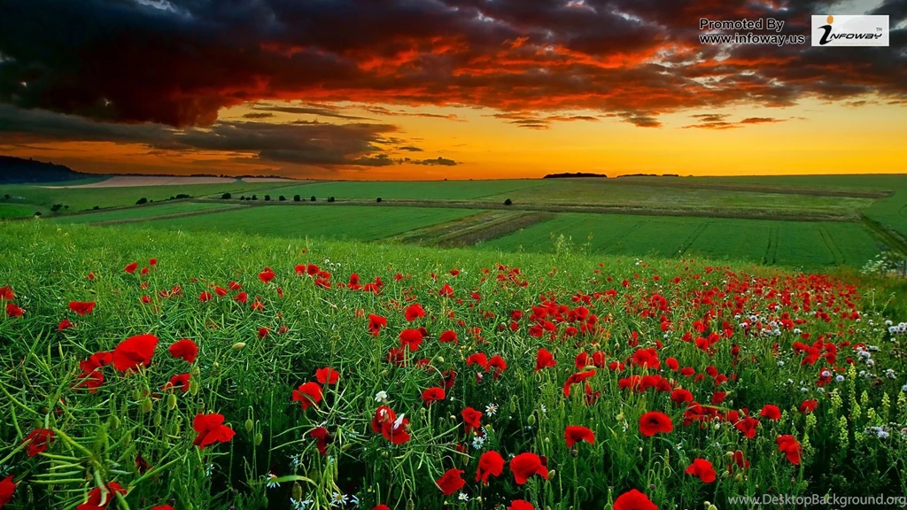HD Landscape Images Photo 216 Of 291