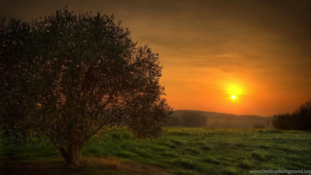 1600X900 Hd Wallpapers HD Wallpapers Pretty